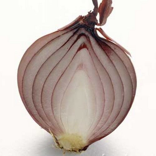 Red Onion Sets 'Red Baron' / 'Karmen'