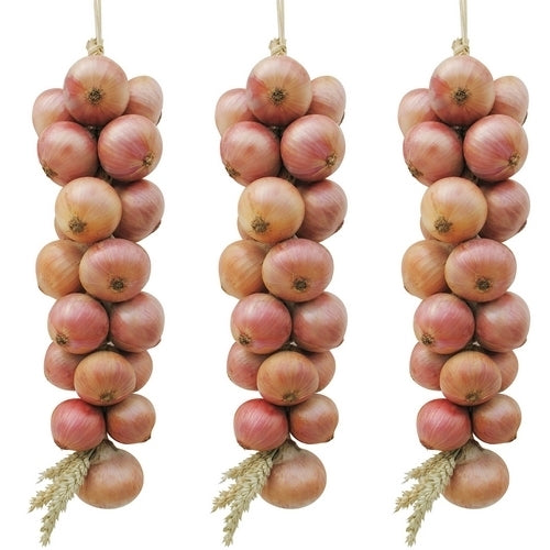 Roze Plantuien ‘Keravel’ / Type ‘Rosé de Roscoff’