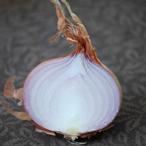 Roze Plantuien ‘Keravel’ / Type ‘Rosé de Roscoff’