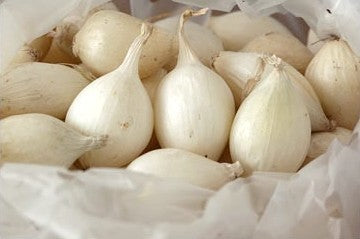 Witte Plantuitjes 'Snowball'