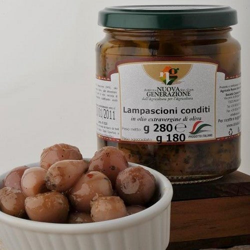 Italiaanse Wilde uitjes 'Lampascioni'