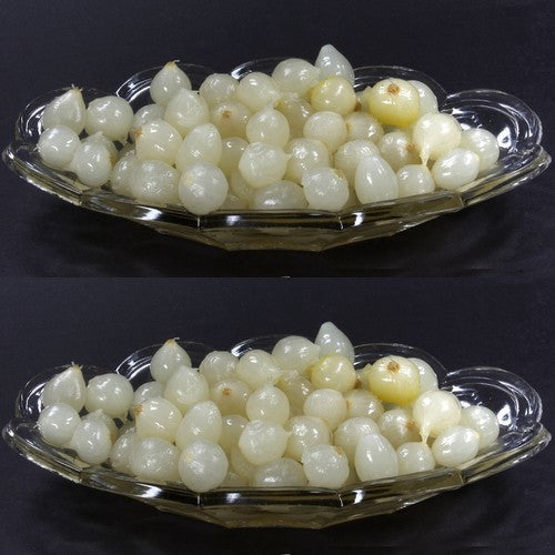 Silverskin Onions 'Paris Silver Skin' / 'White Barletta'