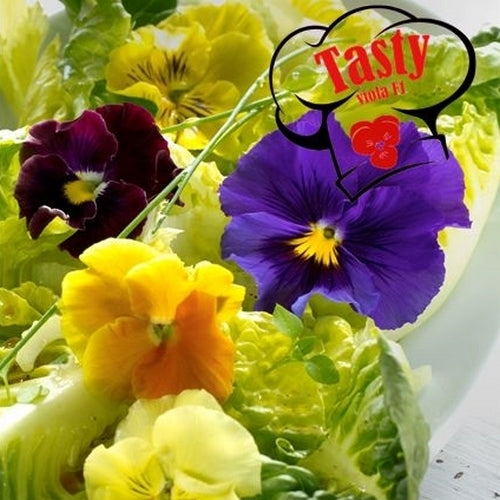 Pansy Salad 'Tasty Viola' F1