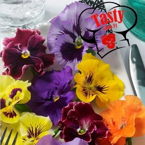 Pansy Salad 'Tasty Viola' F1