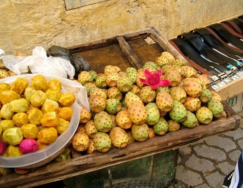 Vijgcactus