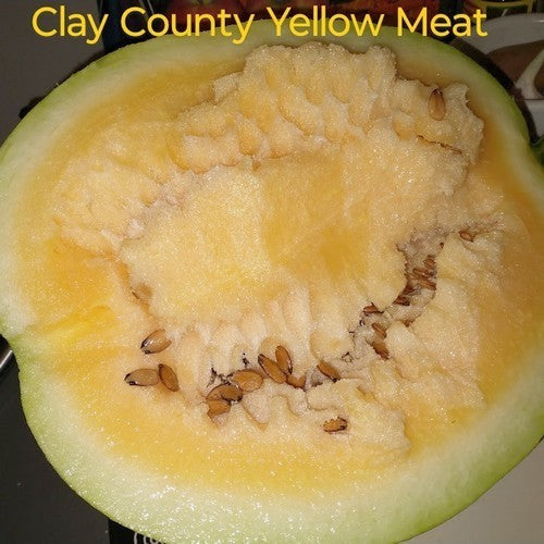 Watermeloenen 'Clay County Yellow Meat'