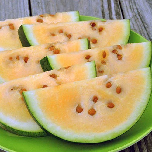 Watermeloenen 'Sweet Siberian'