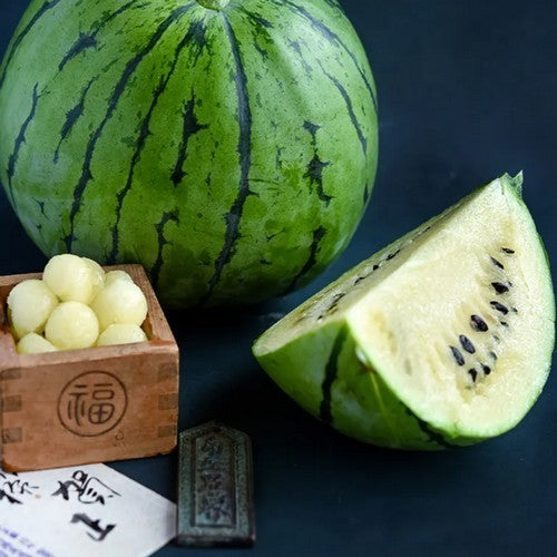 Watermelons 'Yamato Silver'