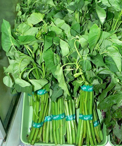Water Spinach 'Bamboo-Leaved' / 'Liao'