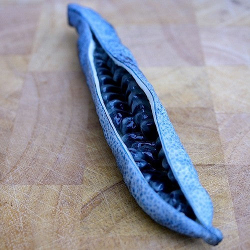Sausage Tree, Blue