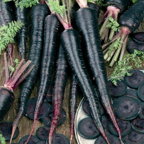 Summer Carrot 'Black Nebula' / 'Deep Purple' F1