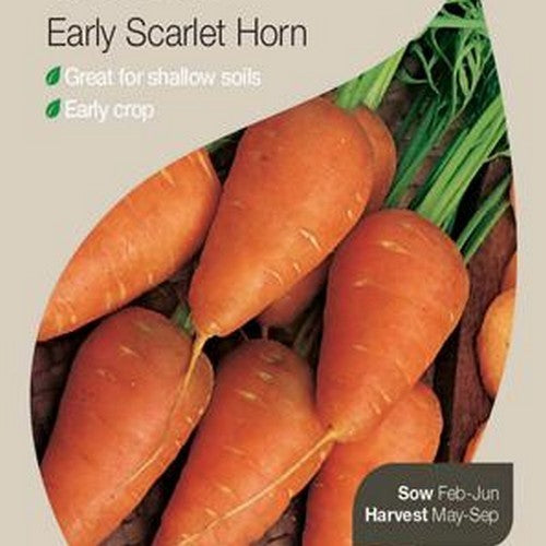 Summer Carrots 'Early Market Horn' / 'Early Red Horn'