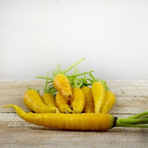 Summer Carrots 'Limburgse Gele van Mollenstaart'