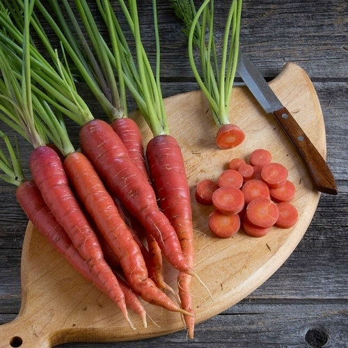 Summer Carrots 'Malbec' F1