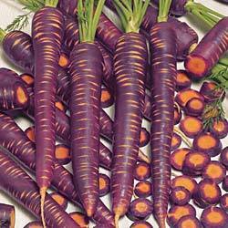 Zomerwortelen 'Purple Haze' F1