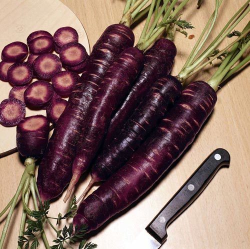 Zomerwortelen 'Purple Haze' F1
