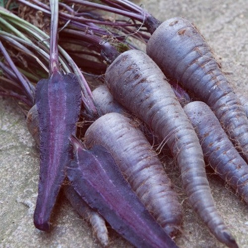 Zomerwortelen 'Purple Sun' F1