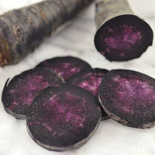 Zomerwortelen 'Purple Sun' F1