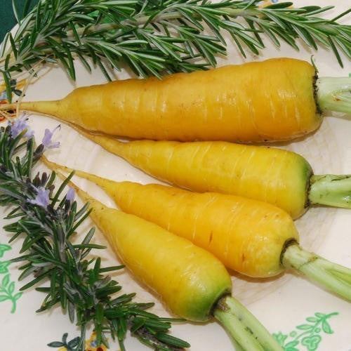 Summer Carrots 'Solar Yellow'
