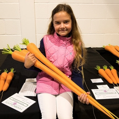 Carrots 'St. Valery'
