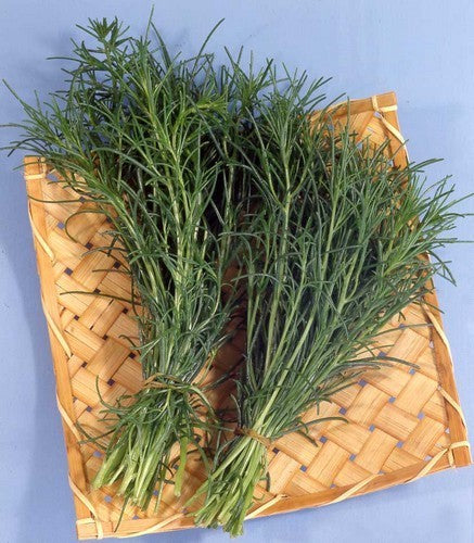 Zeekraal, Japanse 'Okahijiki'
