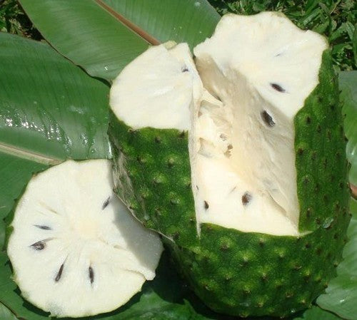 Zuurzak