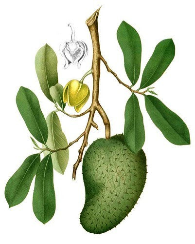 Zuurzak