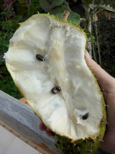 Zuurzak