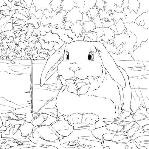 Rabbit Meadow