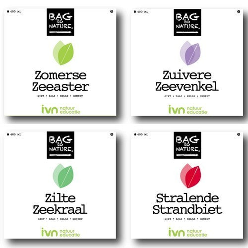 Zilte Groenten Collectie Zeeaster&zeevenkel&zeekraal&strandb