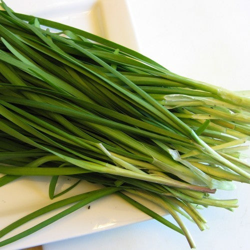 BiesLook, Chinese 'Ky Broad Leaf' / 'Nien Hwa'