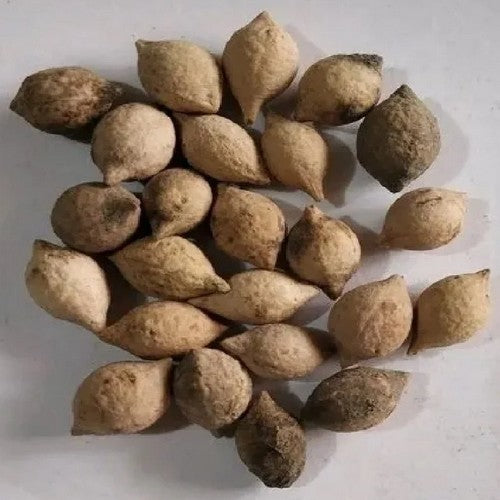 Geluksboon