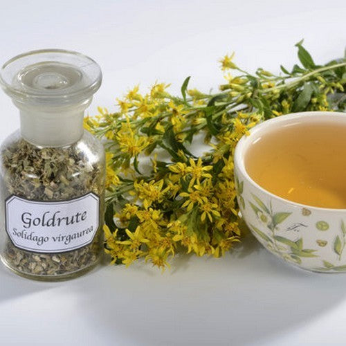 Guldenroede, Echte