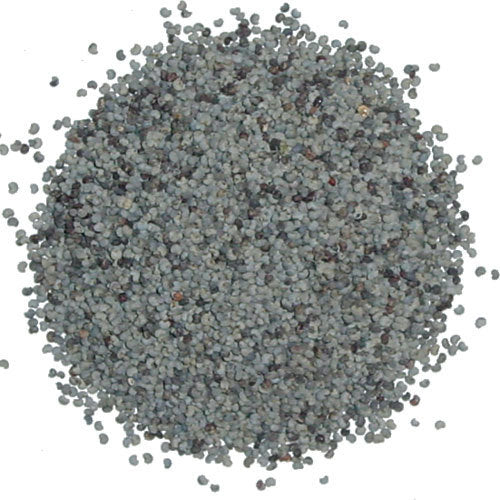 Blue poppy seeds