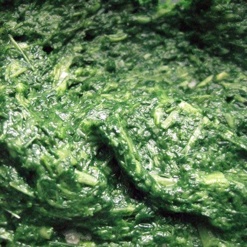 Jute 'Molokhia'