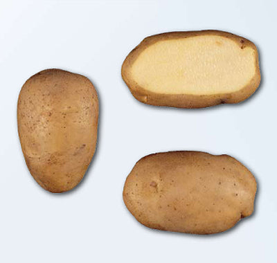Potatoes 'Donald'