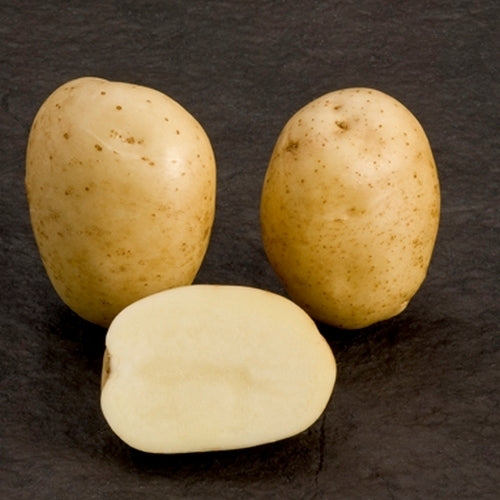 Aardappels 'Premiere'
