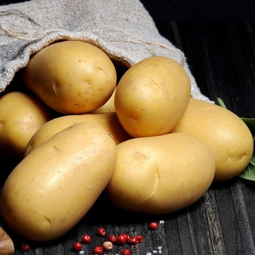 Aardappels 'Glorietta'