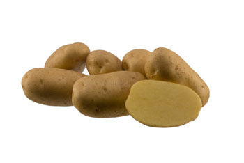 Aardappels 'Agria'