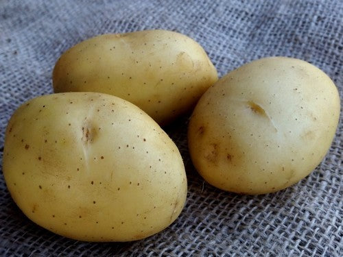 Aardappels 'Vitabella'