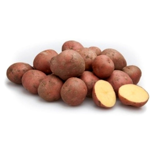 Aardappels 'Bildtstar'