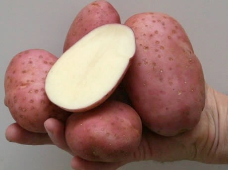 Potatoes 'Monte Carlo'