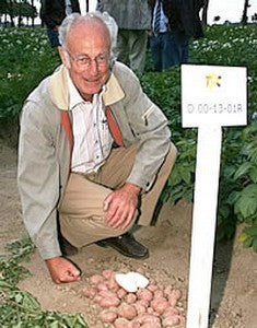 Potatoes 'Monte Carlo'