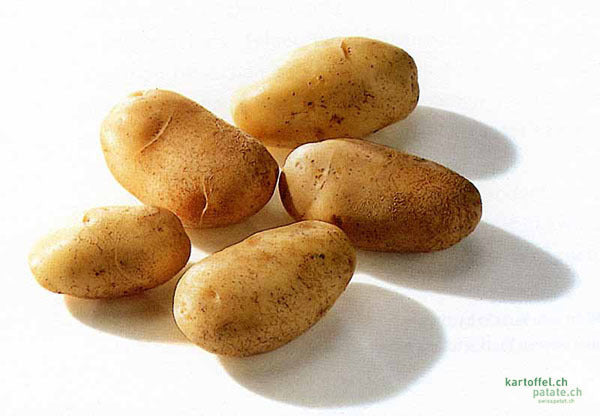 Aardappels 'Nicola'