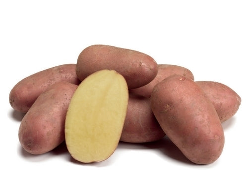 Aardappels 'Alouette'