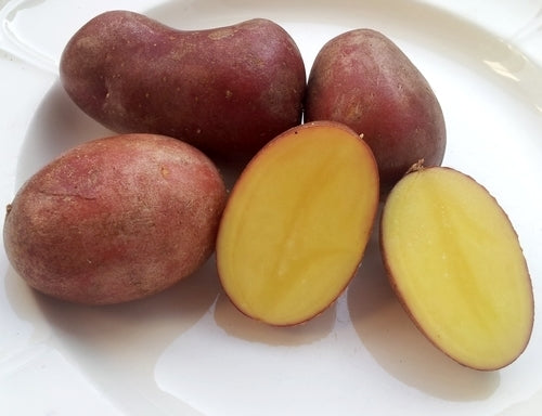Aardappels 'Big Rossa'