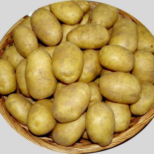 Aardappels 'Hamlet'