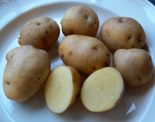 Aardappels 'Keizerinnen' / 'Kaiserinnen' / 'Meikoningin'