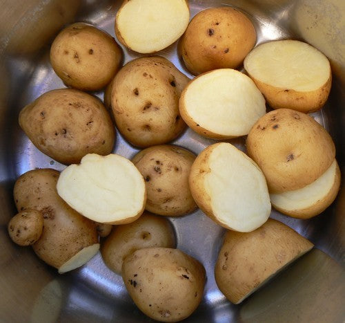 Aardappels 'Keizerinnen' / 'Kaiserinnen' / 'Meikoningin'