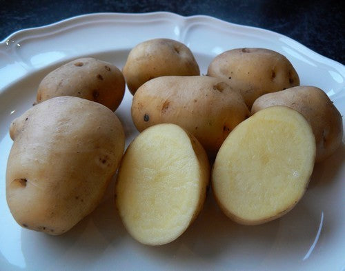 Aardappels 'Keizerinnen' / 'Kaiserinnen' / 'Meikoningin'